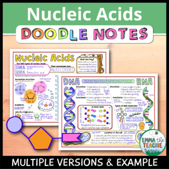 Preview of Nucleic Acids Doodle Notes - DNA and RNA