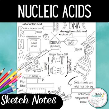 Design Your Own Sketchnotes on Macromolecules