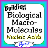 Nucleic Acids Building Biological Macromolecules Digital I