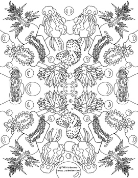 Preview of Nudibranch Coloring Sheet
