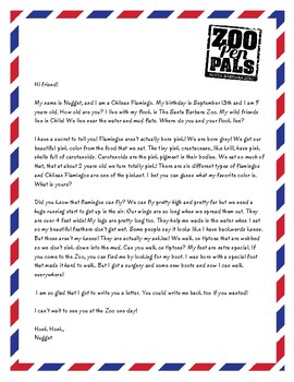 Preview of Nugget the Chilean Flamingo Penpal; Letter, Activity Sheet and How-to-Draw