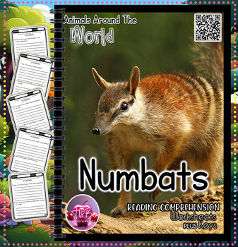 Preview of Numbats  | Worksheets | Animals Around The World | Science | Nature