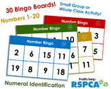 Number Bingo 1-20. Up to 30 players! Numeral Identification.