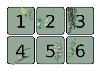 Preview of Number Cards- Eucalyptus/Plant Theme