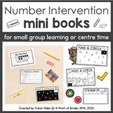 Number Intervention Mini Books (Numbers 1-10)