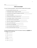 Number Lines and Integers Worksheet