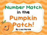 Number Match in the Pumpkin Patch Matching Activity for Pr