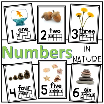 Preview of Number Posters 1-10, Nature Classroom Decor, Real Photos Natural Classroom Theme