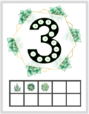 Number Posters 1-20 with ten frames AND skip counting- Suc