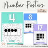 Number Posters | SPOTTY BRIGHTS | EDITABLE