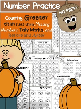 Preview of Number Practice Packet- 100's Chart, Before and After & Much More!