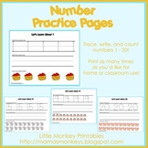 Number Practice Pages (Preschool)