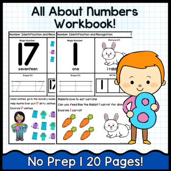 Preview of Number Recognition and Identification Laminated Book/ Worksheets