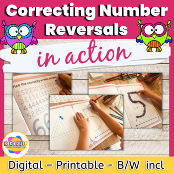 Preview of Number Reversals Worksheets