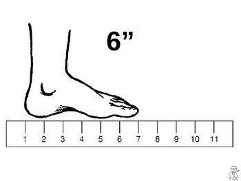 Measuring Length PowerPoint by Craig Mason | TPT