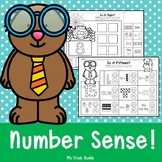 Number Sense Worksheets: Number Sense Activities to 20