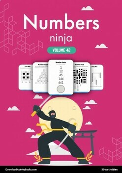 Preview of Number games activity ebook(numbers ninja)