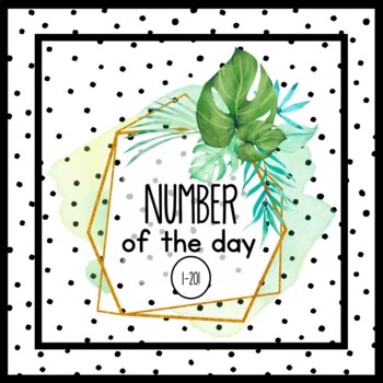 Preview of Number of the Day Bulletin Board Kit - with extras!