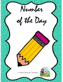 Number of the Day workbook