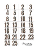 Numbers 0-25 | 12 FREE sets, monthly themes, for math prac