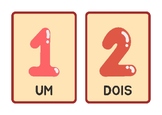 Numbers Flashcards - Brazilian PT