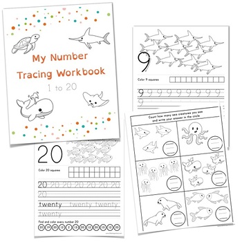 Preview of Numbers Workbook – Printable