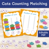 Numbers and Counting Busy Book Pages for Toddlers & Presch