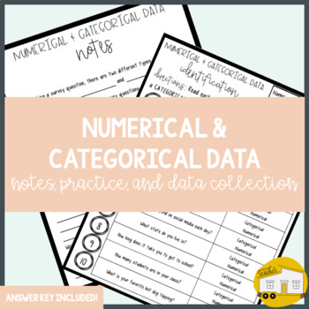Preview of Numerical & Categorical Data - Notes, Practice, and Application!