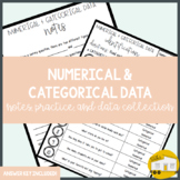 Numerical & Categorical Data - Notes, Practice, and Application!