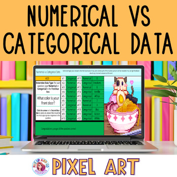 Preview of Numerical or Categorical Data 6th Grade Math Pixel Art Activity