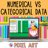 Numerical or Categorical Data 6th Grade Math Pixel Art Activity