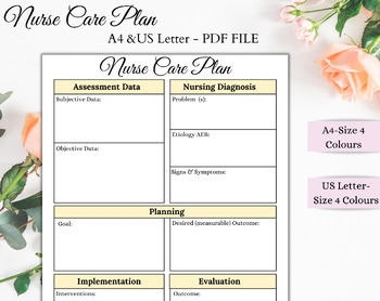 Preview of Nurse Care Plan | Nursing Notes | Printable Sheet | Care Plan Template | Digital