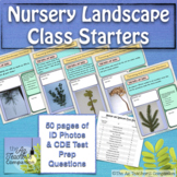 Nursery Landscape Class Starters - Set 1