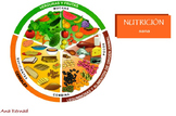 Nutricion - Food and nutrition