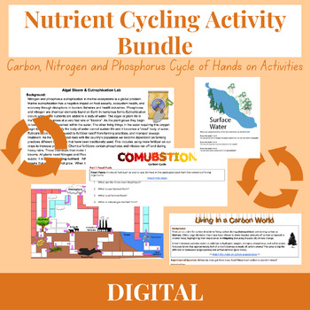 Preview of Nutrient Cycle Bundle! Carbon, Nitrogen & Phosphorus