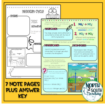 Nutrient Cycle Doodle Notes by North2South Teaching | TPT