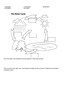 Nutrient Cycle Practice by Mrs Yang | Teachers Pay Teachers