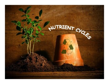 Preview of Nutrient Cycles [Powerpoint & Video Lesson]