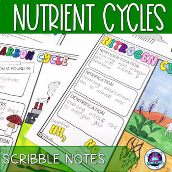 Preview of Nutrient Cycles Scribble Notes 