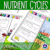 Nutrient Cycles Scribble Notes