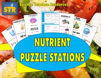 Preview of Nutrient Puzzle Stations