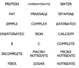 Nutrient Word Sort Labels