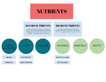 Preview of Nutrients Breakdown