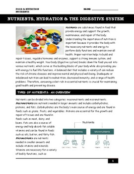 Preview of Nutrients, Hydration & Digestive System [Worksheet & Answer Key]