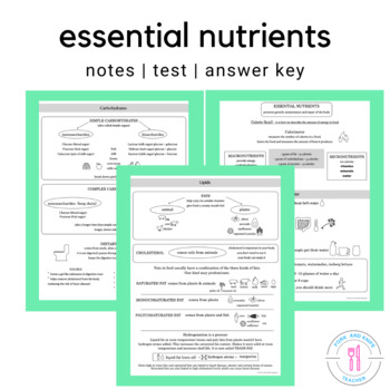 Preview of Nutrients In Food For The Culinary High School And FCS Classroom