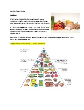 Preview of Nutrition Board Notes with Food Pyramid and Eat Well Plate