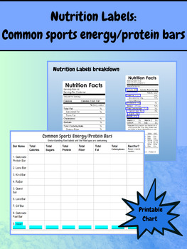 Preview of Nutrition Labels: Common Sports Energy/Protein Bars