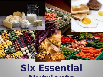 Preview of Nutrition: Six Essential Nutrients PowerPoint an Introduction