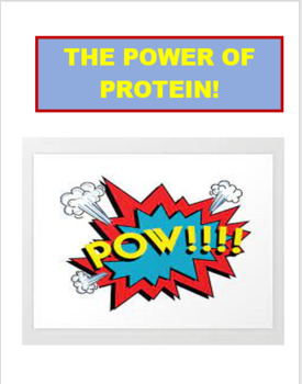 Preview of Nutrition - The Power of Protein- 3 fun activities! CDC Health Standard 7