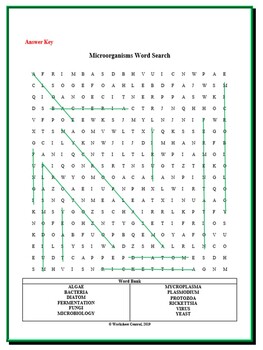 nutrition word search w answer key by worksheet central tpt